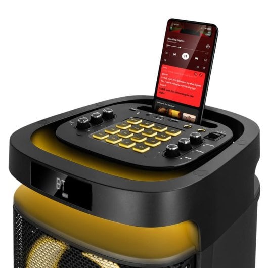 Phoenix Rumbleboss Enceinte Bluetooth Karaoké Portable 80W RMS Noir