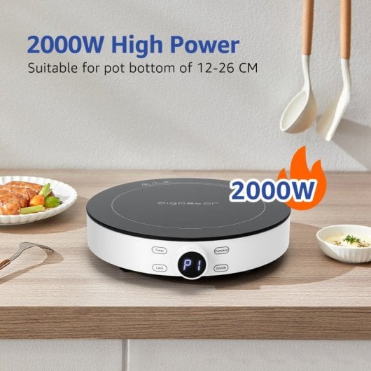 Aigostar Placa de Inducción Portátil con Temporizador 2000W Blanca