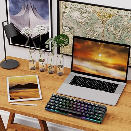 Kinsi T61 Teclado Gaming de 63 Teclas con 12 Efectos de Luz Negro Qwerty USA