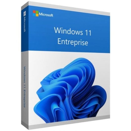 Digitaler Download von Microsoft Windows 11 Enterprise