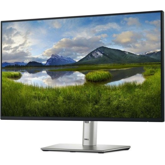 Monitor Dell P2425H 23.8" Full HD 100Hz IPS USB-C Hub Höhenverstellbar