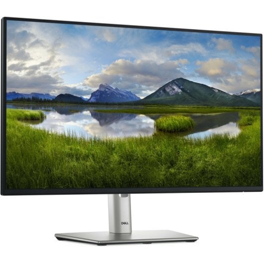 Monitor Dell 24 P2425h 23,8 Zoll Ips Fhd 100 Hz (P2425H)