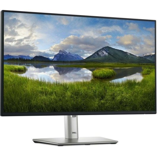 Monitor Dell P2425H 23.8" Full HD 100Hz IPS USB-C Hub Höhenverstellbar