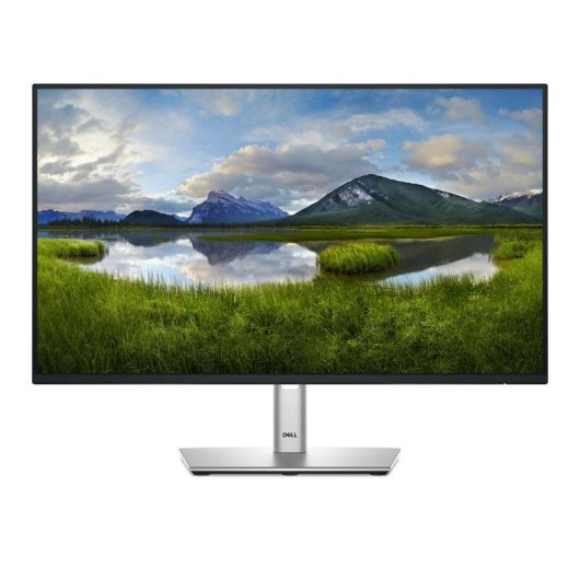 Monitor Dell P2425H 23.8" Full HD 100Hz IPS USB-C Hub Höhenverstellbar