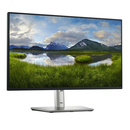 Monitor Dell P2425H 23.8" Full HD 100Hz IPS USB-C Hub Höhenverstellbar