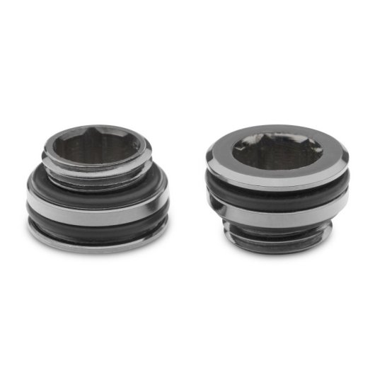 EKWB Quantum Momentum AORUS Z490 Xtreme D-RGB VGA-Block – A