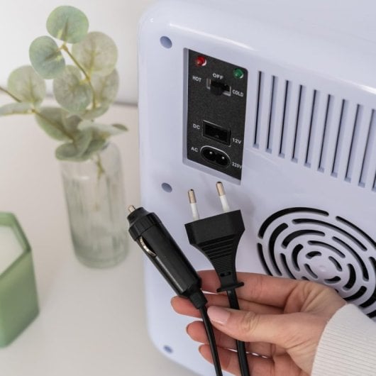 Mini frigorifero portatile Flamingueo con funzione caldo e freddo 10L 12V Verde