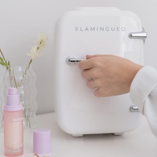 Flamingueo Mini-Kühlschrank mit Kälte- und Wärmefunktion, 4 l, 12 V, weiß