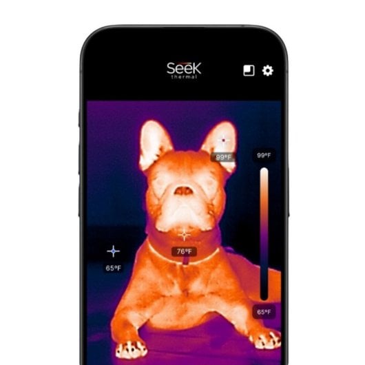 Seek Thermal CQ-DBAX Câmara Termográfica USB-C 320X240 Píxeis Preta