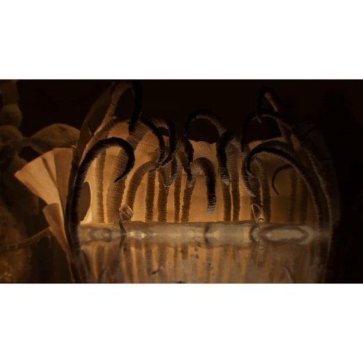 Papetura Craft Edition Nintendo Switch