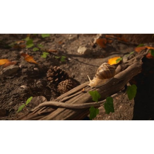 Empire of the Ants Limited Edition Xbox Series X