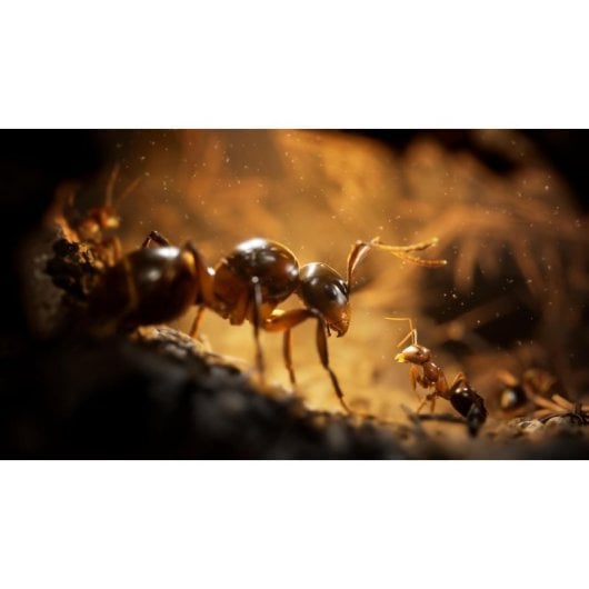Empire of the Ants Limited Edition PS5