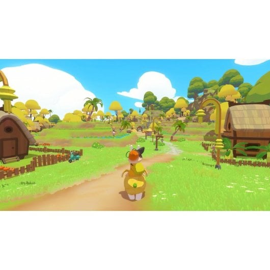 Petit Island PS5