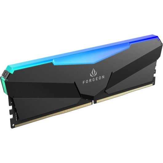 Forgeon Cyclone PRO RGB DDR5 6000 MHz 32GB 2x16GB CL30 Preto