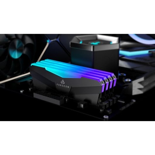 Forgeon Cyclone PRO RGB DDR5 6000 MHz 32GB 2x16GB CL30 Preto