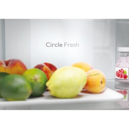 Candy Fresco 300 CNCQ2T620EW Frigorífico Combi E Blanco