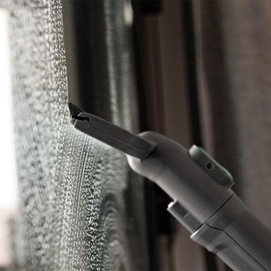 Teppichreiniger Staubsauger Cecotec Conga CarpetClean 10000 EasyHome 800W Doppelbehälter Zubehör