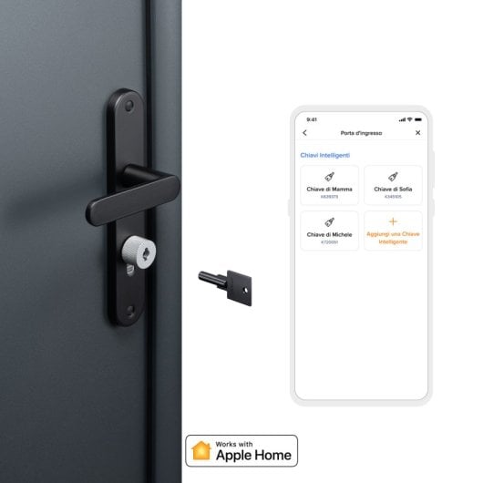 Netatmo Pack 1 Cerradura Inteligente Gris + 3 Llaves Inteligentes Negras