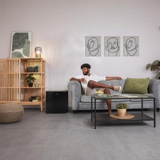 Frigorífico Mini Cecotec GrandCooler 20000 L SilentCompress Defrost 48cm 46L E Preto Porta Reversível