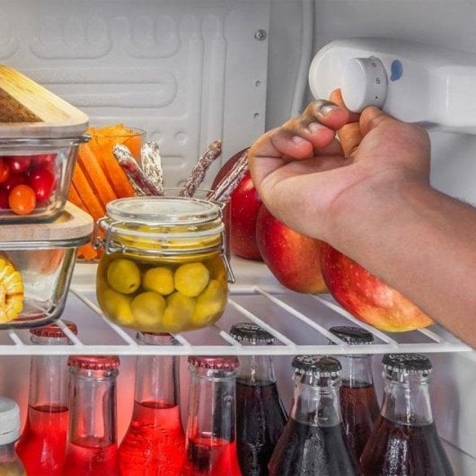 Frigorífico Mini Cecotec 03617 Defrost 48,5cm 46L E Inox Porta Reversível