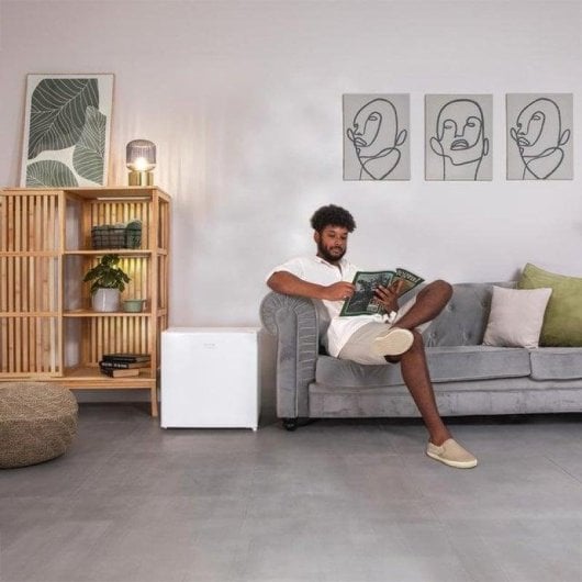 Frigorífico Mini Cecotec GrandCooler 20000 L SilentCompress Defrost 48,7cm 46L E Branco