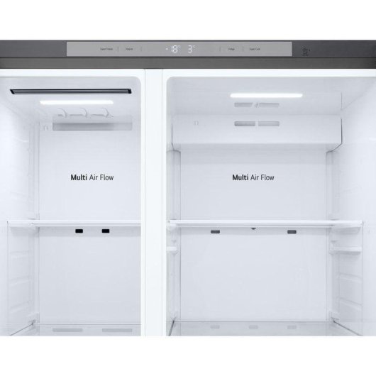 LG GSBC40PYPE.APYQEUR Frigorífico Americano Side By Side E Plata
