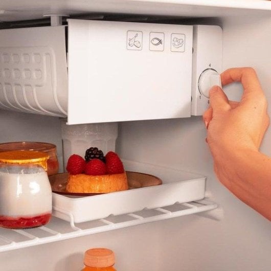 Frigorífico Mini Cecotec Bolero CoolMarket TT Origin 45 Defrost 55cm 45L E Preto Icebox