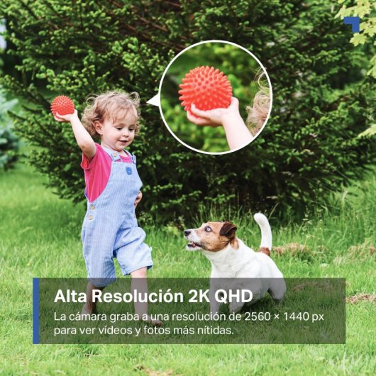 Tapo C425 Kit Cámara de Vigilancia con Panel Solar y Batería, 2K QHD, Detección IA Gratuita Avanzada, Visión Nocturna a 