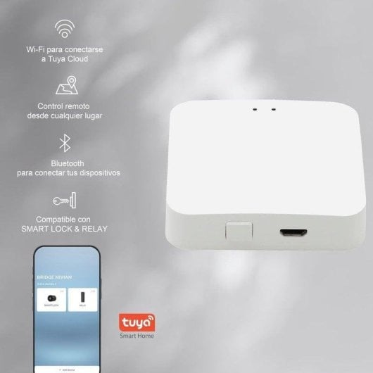 Serratura Intelligente Nivian NV-SMARTLOCK WiFi e Bluetooth Apertura con App Compatibile con Alexa e Google Home