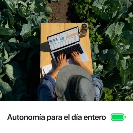 Apple MacBook Pro Apple M4 10 Núcleos/16GB/1TB SSD/GPU 10 Núcleos/14" Plata