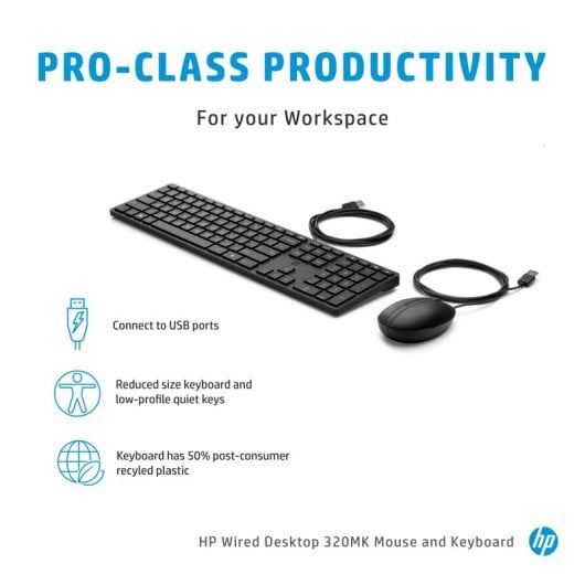 HP Wired Desktop 320MK Teclado y Ratón USB Francés