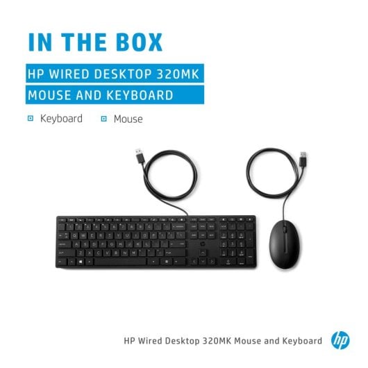HP Wired Desktop 320MK Teclado y Ratón USB Francés