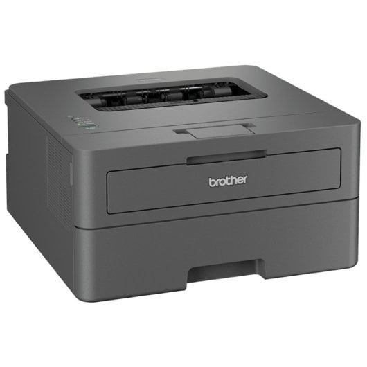 Imprimante laser Brother Hl-l2402d 1200 X 1200 Dpi A4