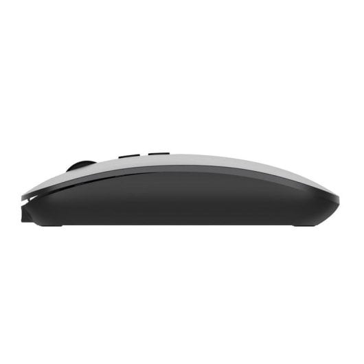 Ratón Ewent EW3207 Inalámbrico Bluetooth 1600 DPI Negro Recargable Copilot