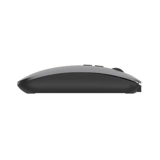Ratón Ewent EW3207 Inalámbrico Bluetooth 1600 DPI Negro Recargable Copilot
