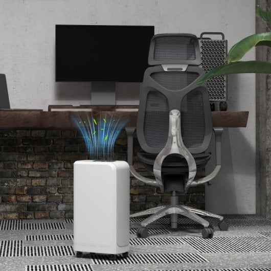 Homcom Deshumidificador Eléctrico 12L/día Depósito de Agua 2.5L Blanco