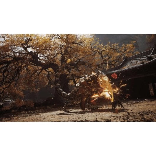 Black Myth: Wukong PS5