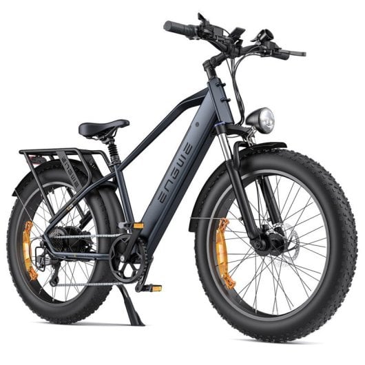 Engwe E26 Bicicleta Eléctrica, Motor De 250w, Batería De 48v 16ah, Neumáticos De 26pulgadas, Gris