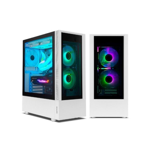 Neo-PC Némesis Gaming AMD Ryzen 5 4600G/32GB/1TB SSD