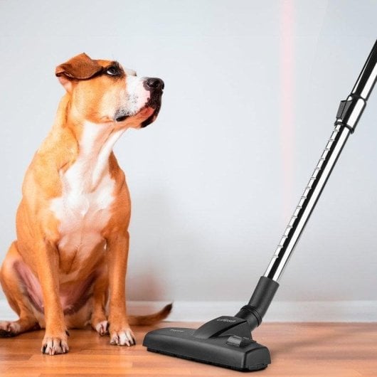 Aspirateur sans Sac Ufesa Tropical 600W HEPA Filtre 0.8L Accessoires