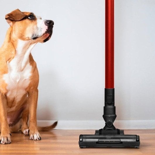 Aspirador sem Fio Ufesa Kalahari 22.2V Autonomia 40min Capacidade 0,8L Acessórios