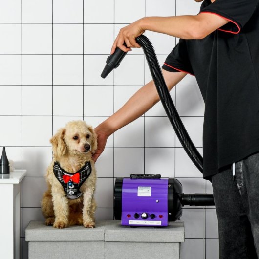 Pawhut Secador De Pelo Cães 2800w Temperatura Velocidade De Vento Ajustável