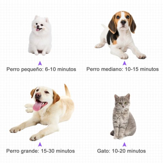 Pawhut Secador De Pelo Cães 2800w Temperatura Velocidade De Vento Ajustável