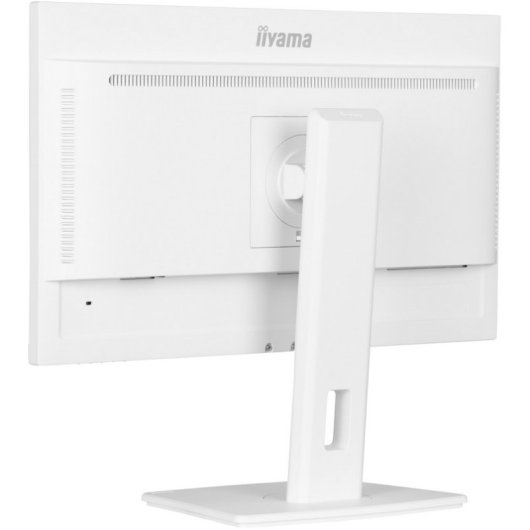 iiyama ProLite XUB2497HSN-W2 23,8" IPS FullHD 100Hz USB-C Dock Haut-parleurs Hauteur Réglable