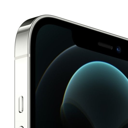 Replay iPhone 12 Pro 512GB Argento Ricondizionato