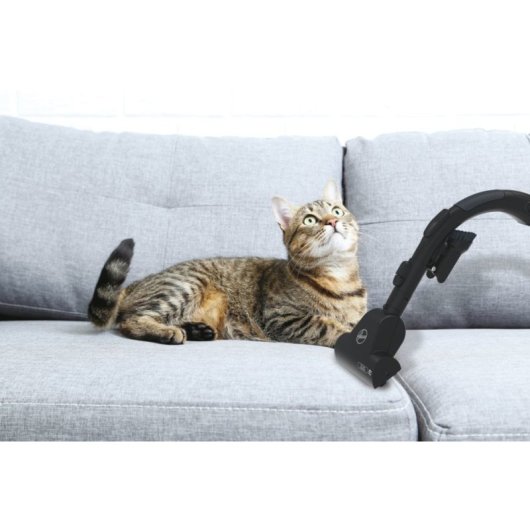 Hoover H-ENERGY 700 HE720PET 011 Aspirador Cilíndrico 6 L 850 W com Saco para o Pó