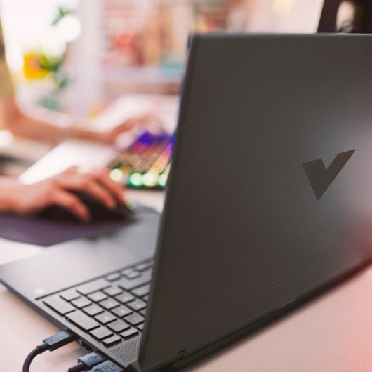 HP Victus Gaming 15-fb3003ns AMD Ryzen 7 8845HS/16GB/1TB SSD/RTX 4060/15.6"