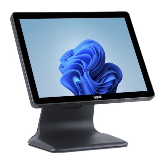 iggual TPV AIO 17 Intel N100/8GB/128GB SSD/17" Táctil