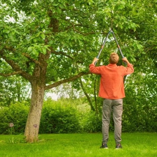 Gardena Gartenschere Telecut Pro L 12041-20