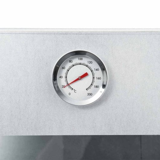 Vidaxl Horno Ahumador Barbacoa Virutas De Madera Inox